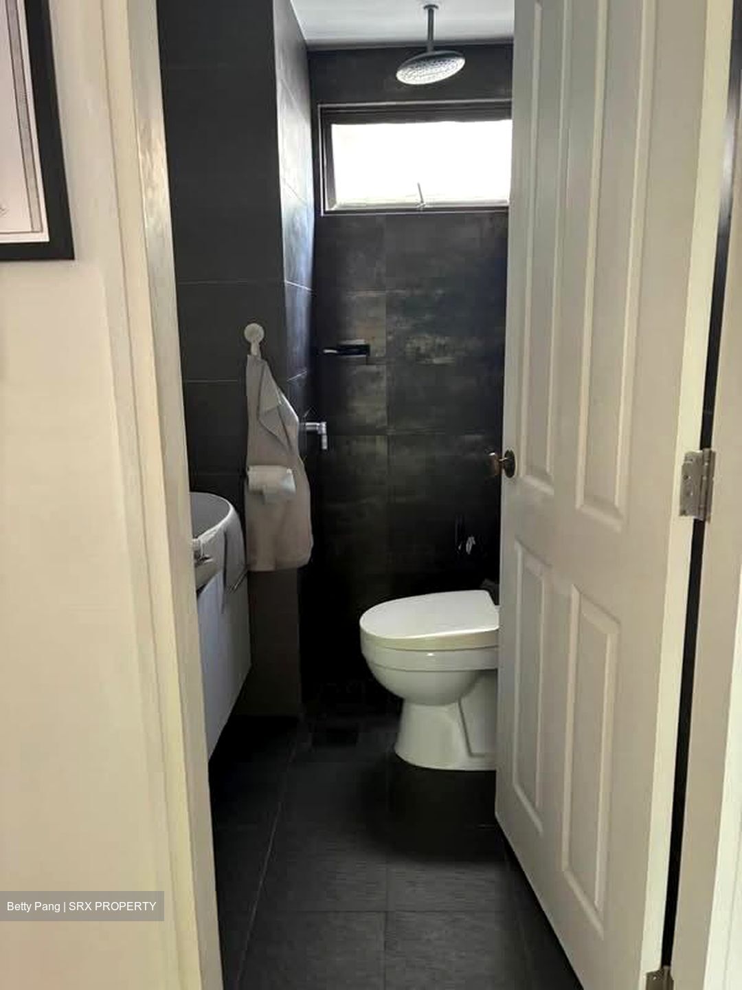 Allsworth Park (D10), Condominium #535285941